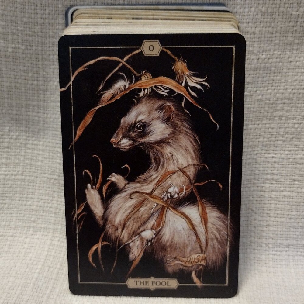 Hush Tarot - Picture 4 of 15